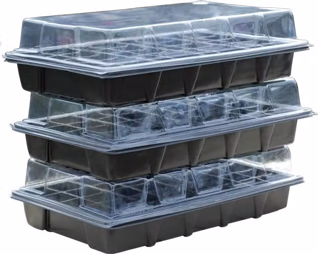 Garden Grow Plug and Seed Growing Tray Triple Pack in Black and Transparent Plastic