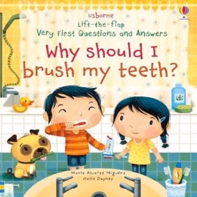 Katie Daynes Very First Questions and Answers Why Should I Brush My Teeth? Multicolour Paper Book