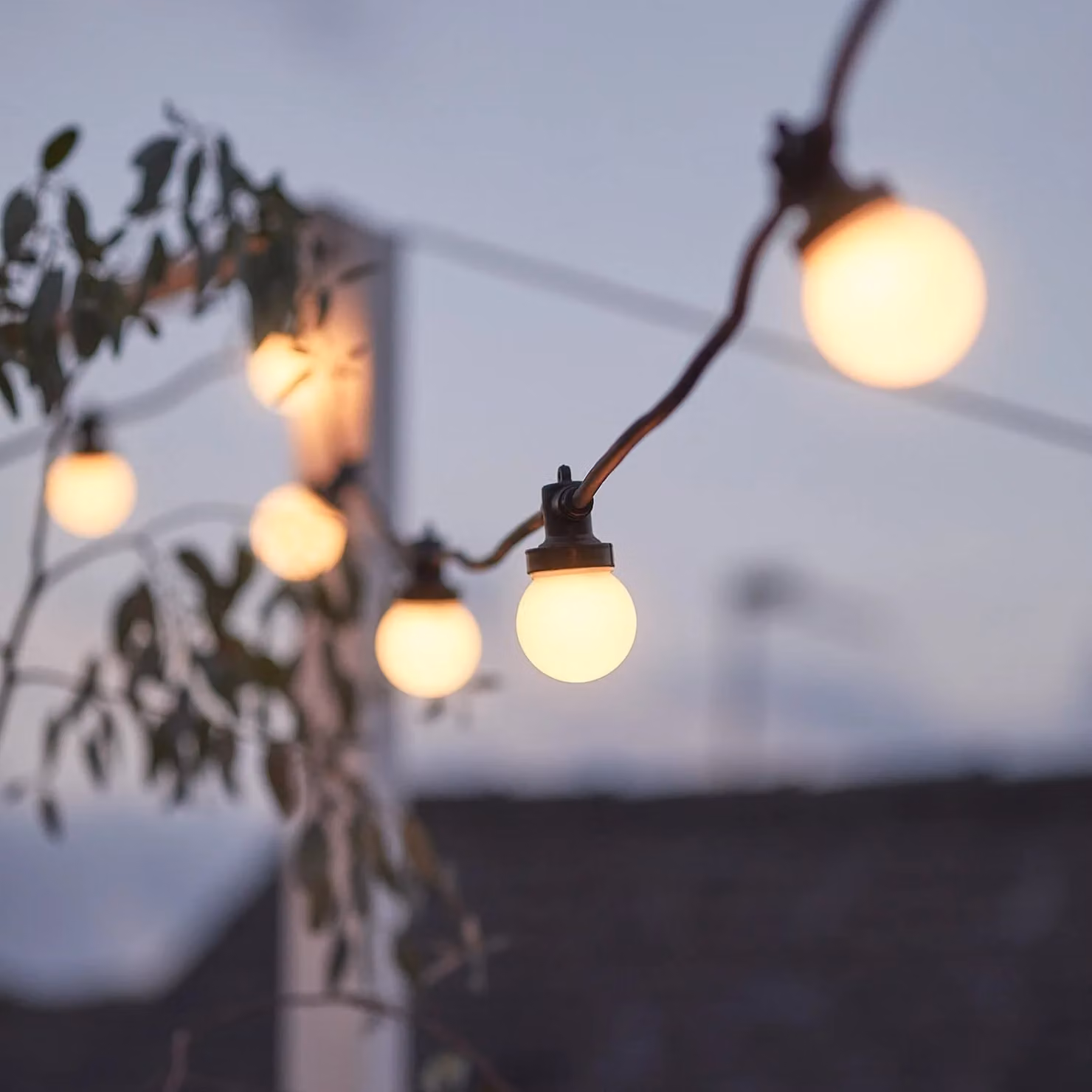 Pro Connect Warm White LED Sphere Festoon String Lights with Black Cable, 145m