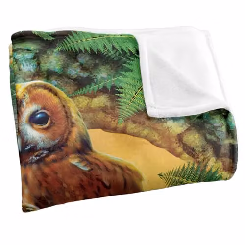 JQ Licensing Owl Collage Super Soft Silky Touch Fleece Throw Blanket, Multicolour, W/D/H: 91 x 147 cm – 2