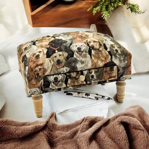 AcaciaHome Deluxe Upholstered Ottoman Footstool with Drawer in Dog Art Fabric Multicolour – 6