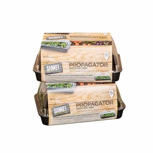 Samuel Alexander Pack of 2 Grostart Midi Unheated Seed Starter Trays in Black and Transparent, 38 cm – 3