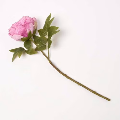 Homescapes Artificial Pink and Yellow Peony Floral Stem
