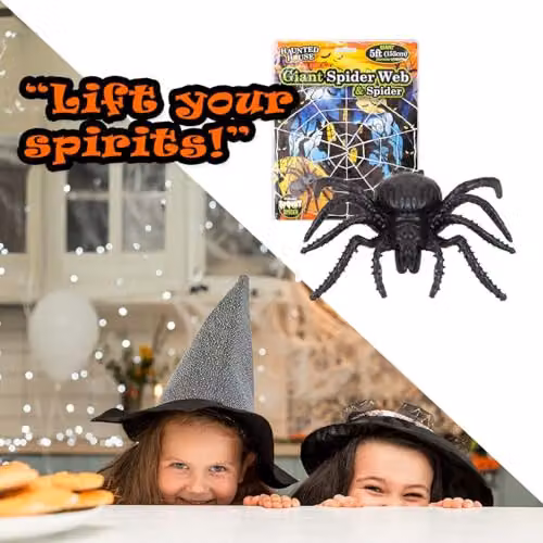 VFM e-Store Giant Halloween Spider Web with Spider Decoration in White, 154 cm – 6