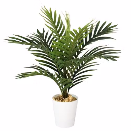 Leaf UK Pack of 6 Green Artificial Mini Palm Trees for Tabletop Display, Height: 50 cm – 2