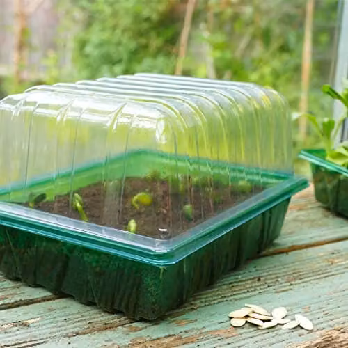 Gro-Sure Visiroot Half Seed Trays, 8 Pack, Brown – 3