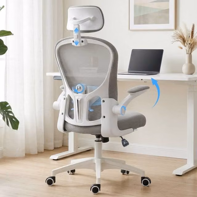 Rolipo Grey Mesh Task Chair with Lumbar Support, Headrest and Armrests – 1