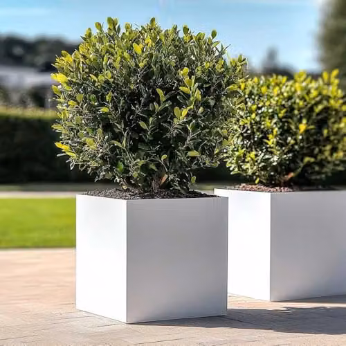 Tulipy Galvanised Steel Square Planter Tub, Matte White, W: 60 cm, D: 60 cm, H: 60 cm – 7