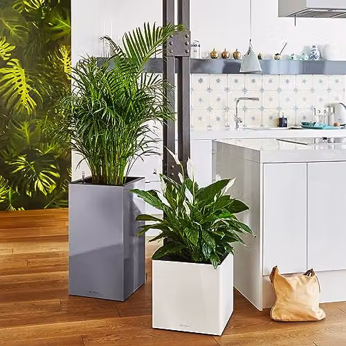 Lechuza Canto Premium 40 Planter, White High Gloss – 4