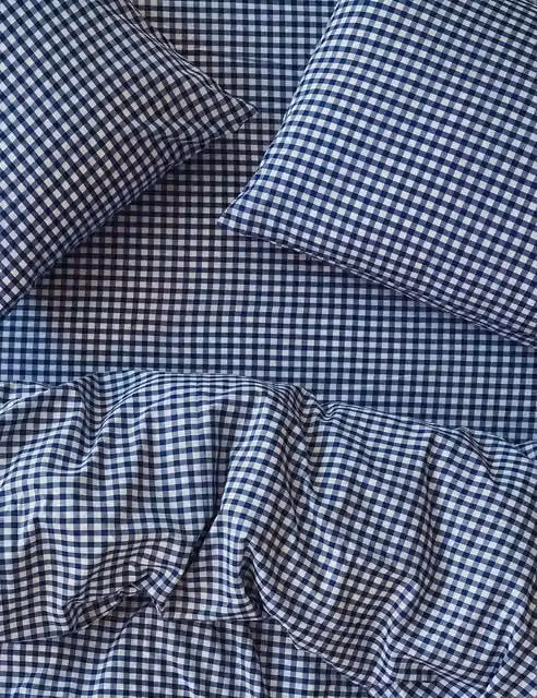 Piglet In Bed 2 Pack Pure Cotton Gingham Pillowcases in Blue Mix