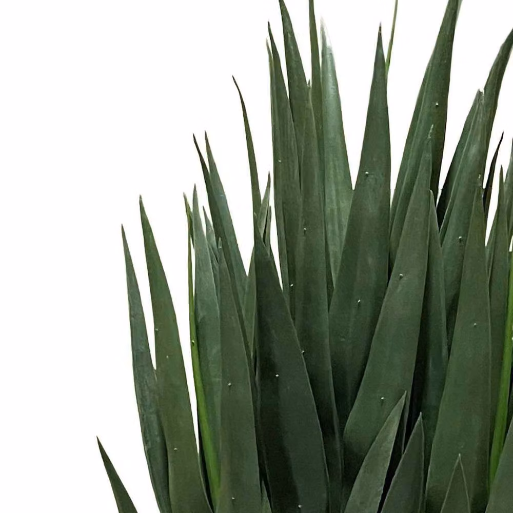 Leaf Premium Artificial Yucca Tree in Green, Height: 70 cm – 2