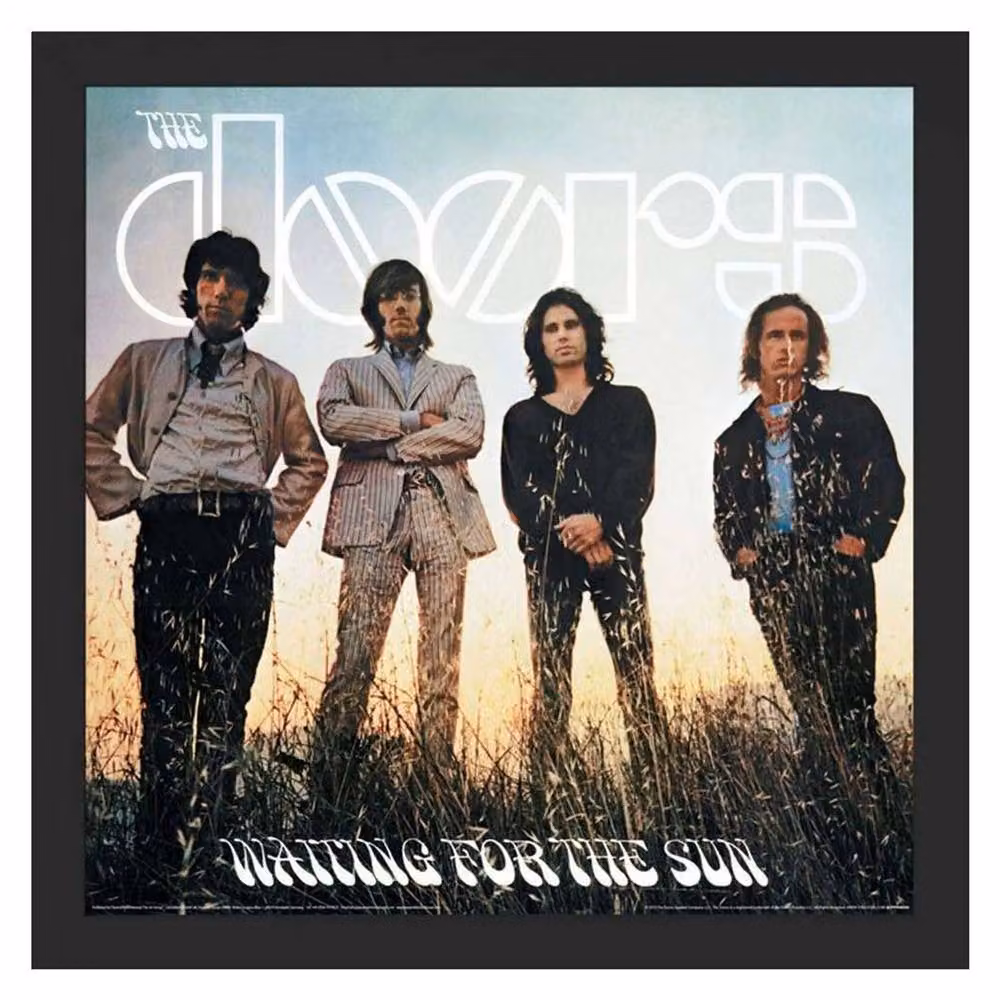 The Doors Waiting For The Sun Multicolour Framed Paper Poster – 2