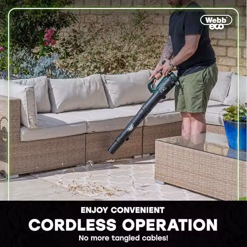Webb Eco WEV20AB Cordless 20V Axial Leaf Blower with 4Ah Battery and Charger – 7
