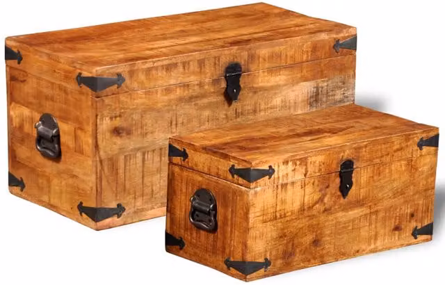 Berkfield Home 2 Piece Rustic Rough Mango Wood Storage Chest Set in Brown