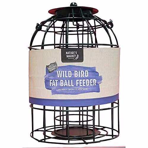 Natures Market Metal Wild Bird Fat Ball Feeder with Squirrel Guard in Green and Black – 2