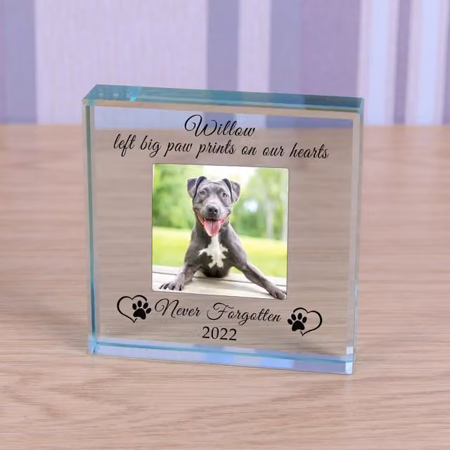 Uniqueful Personalised Never Forgotten Pet Memory Glass Token Sympathy Gift in Transparent and Beige