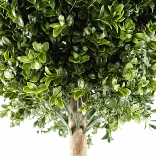 Leaf Design UK Pair of Green Artificial Topiary Trees, H 140 cm x W 50 cm x D 50 cm – 2
