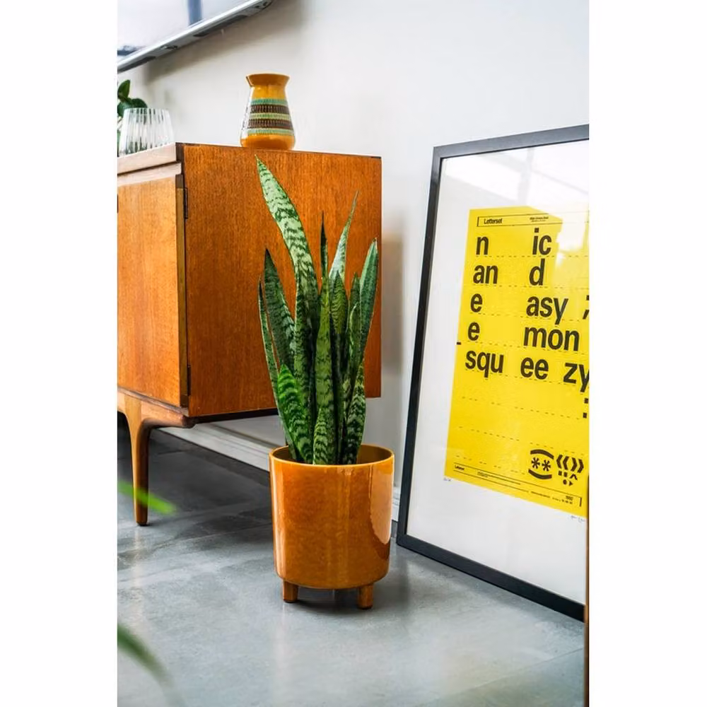 Lemon Pavilion Furniture and Decor Pisa Ceramic Tabletop Planter, Yellow, W: 20 cm, D: 20 cm, H: 24 cm – 3