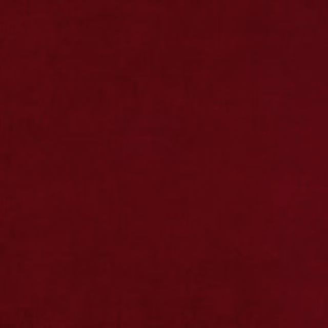 Terrys Red Recycled Fabric Mulberry