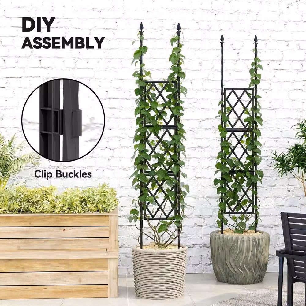 KORVIXA Black Lattice Climbing Support Trellis – 3