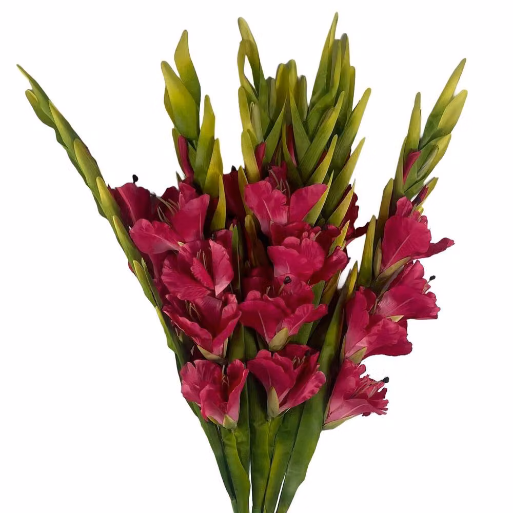 Botanik Pink Artificial Gladioli Stems, Pack of 6, Height: 115 cm – 3