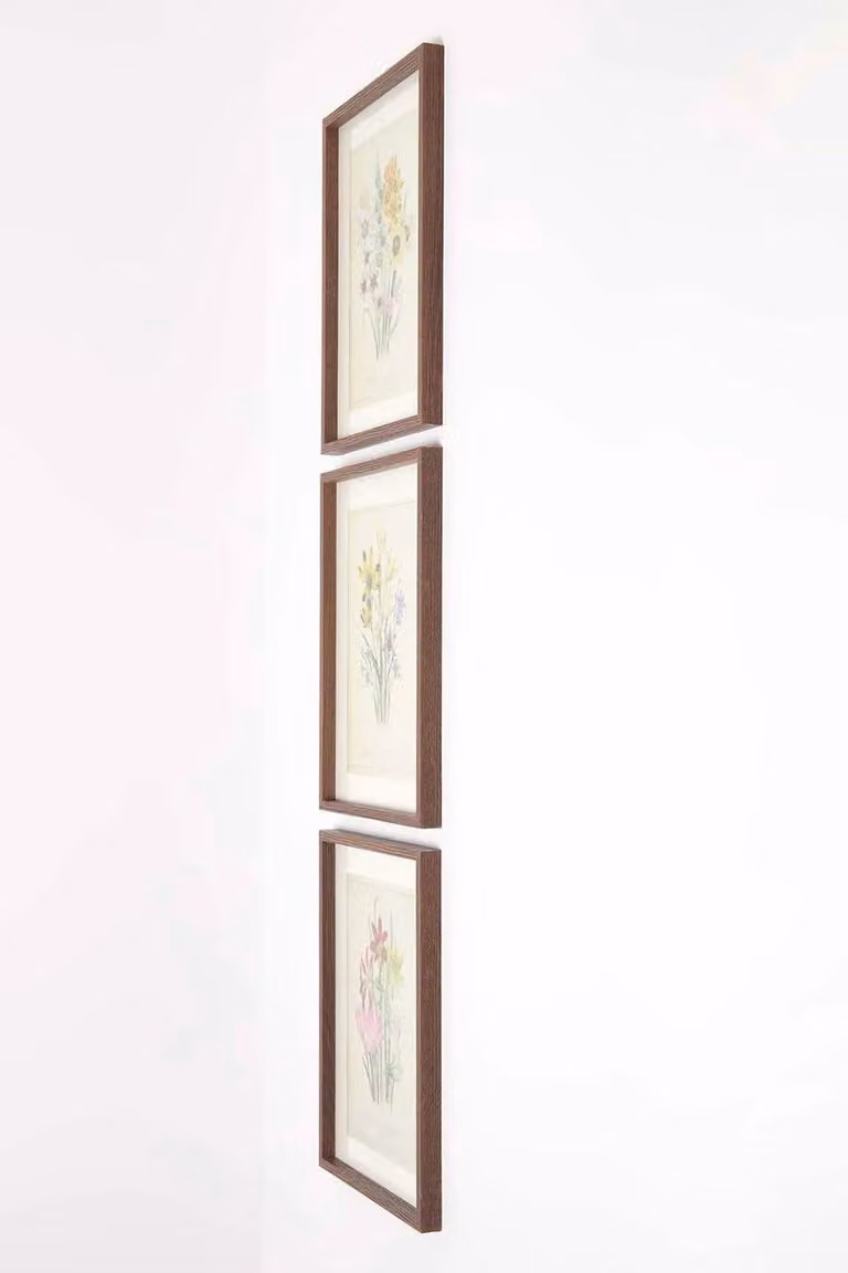 Homescapes Floral Wall Art Set of 3 Framed Botanical Prints, W/H: 30 x 40 cm, Multicolour Yellow Tones