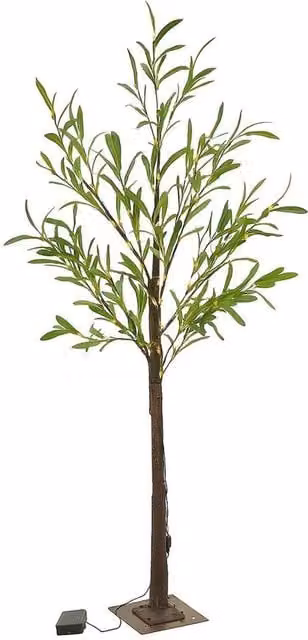 Kelvenix Solar Powered Olive Tree with 150 Warm White Microdot LED Lights, Height: 120 cm