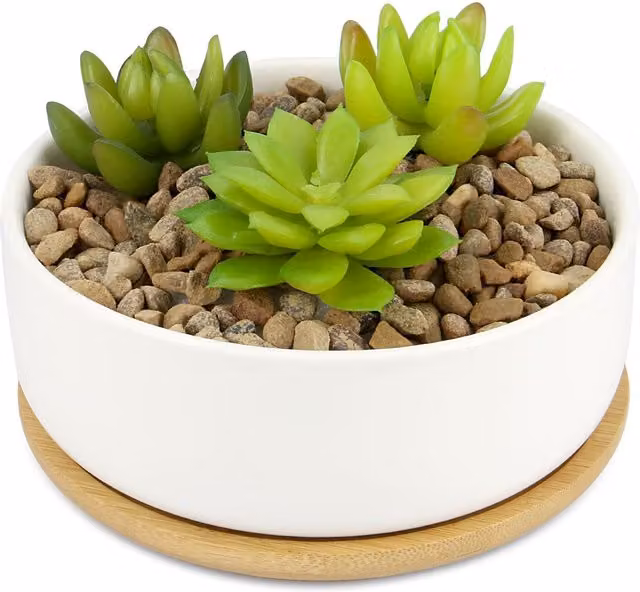 Maison & White Round Ceramic Tabletop Planter with Bamboo Base, White