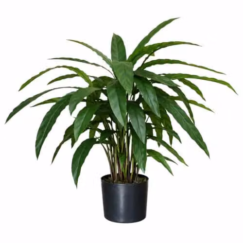 Leaf Design UK Realistic Large Artificial Calathea Foliage Plant in Green, Height: 60 cm – 1