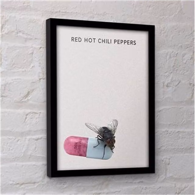 Red Hot Chili Peppers I'm With You Framed Paper Poster in Black