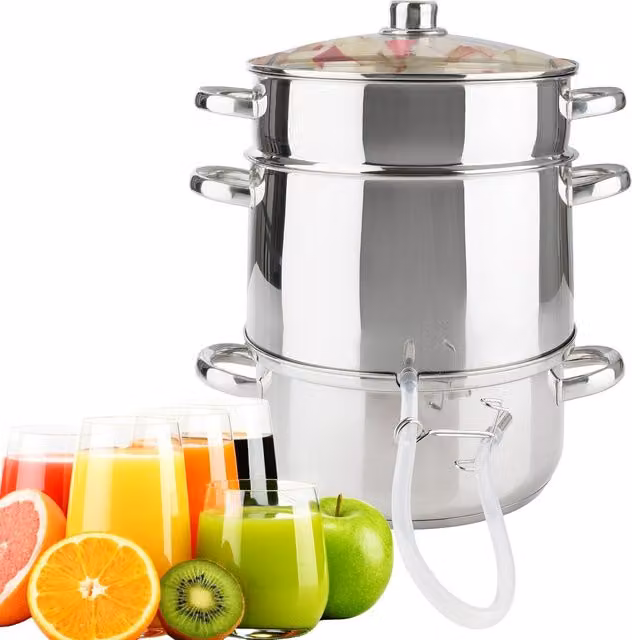 AREBOS Steel Steam Juice Extractor Juicer 15L in Silver