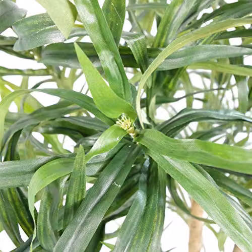 Leaf Artificial Dracaena Tree in Green with Pot, Height: 100 cm – 3