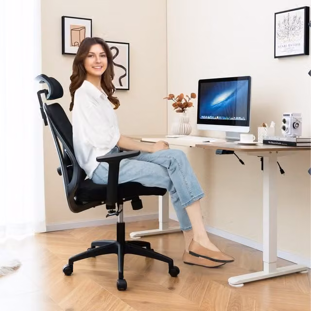 Costway Modern Ergonomic Mesh Office Chair with Headrest and Armrests in Black