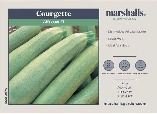 Marshalls Alfresco F1 Courgette Vegetable Seeds, Green, 10 Pack