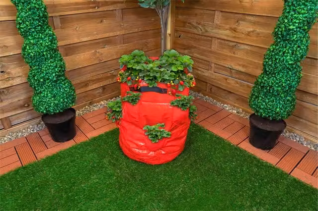 St Helens Home & Garden Red Strawberry Grow Bag Planter, 48L