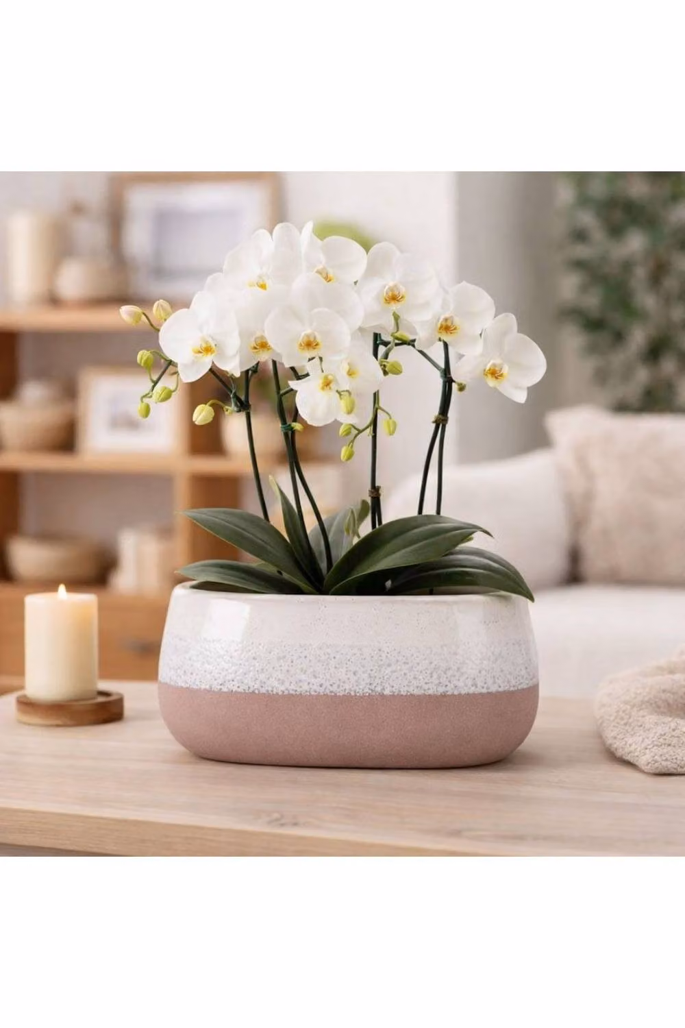 KDMD Hortus Bordeaux Stoneware Pot, Pink and White, H 13 cm x Dia 26 cm – 3