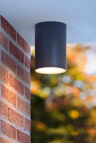 Lucide Tubix Anthracite Ceiling Spotlight for Indoor and Outdoor Use, Diameter: 10.8 cm – 3