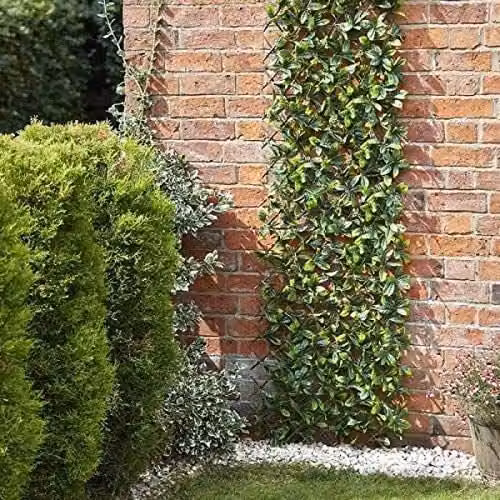 Marco Paul Artificial Lemon Leaf Wall Trellis Hedge in Green, W/H: 90 x 180 cm