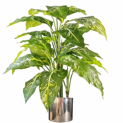 Leaf Large Fox's Aglaonema Artificial Tree with Silver Metal Planter, Green, Height: 100 cm – 1