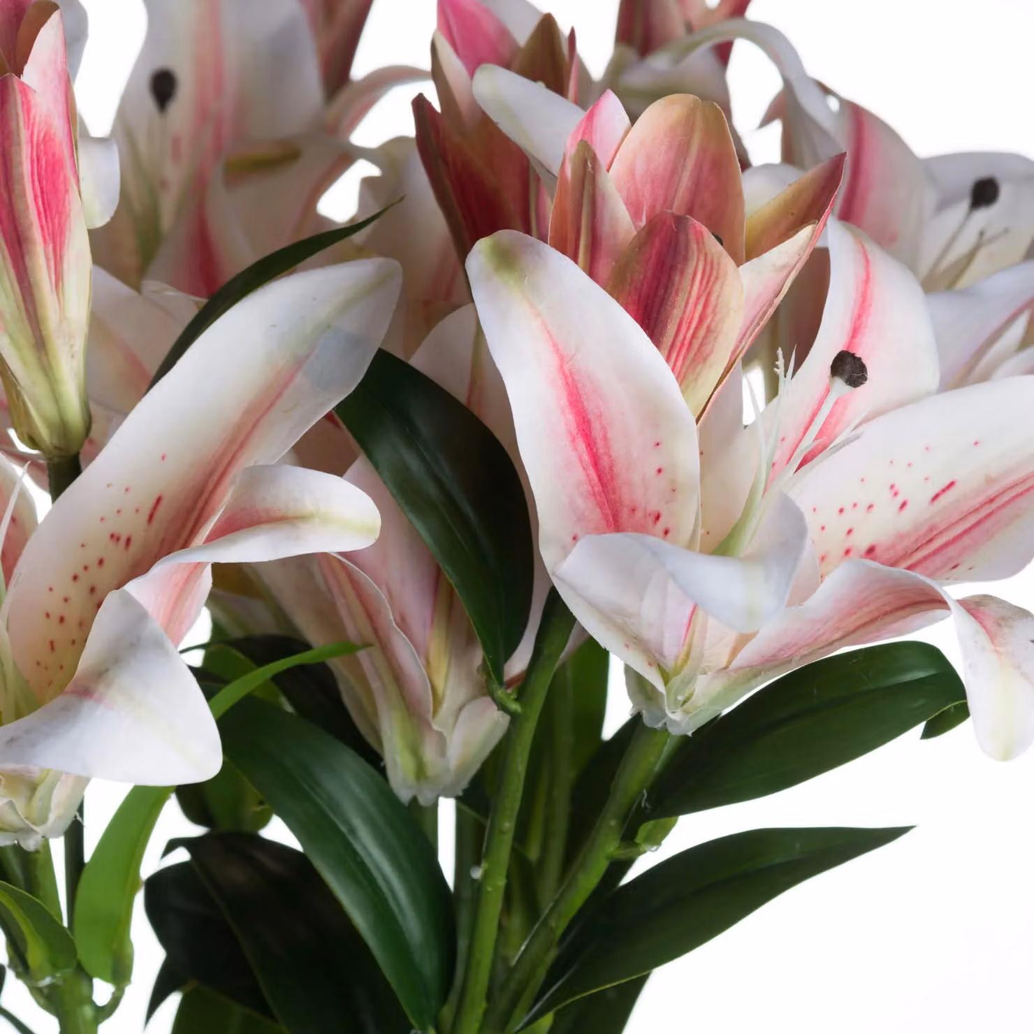Love Lace White Stargazer Lily Artificial Flower – 3