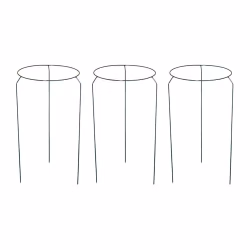 Samuel ALEXANDER Pack of 3 Urban Metal Herbaceous Garden Plant Support Rings in Green, W/D/H: 30 x 30 x 50 cm – 5