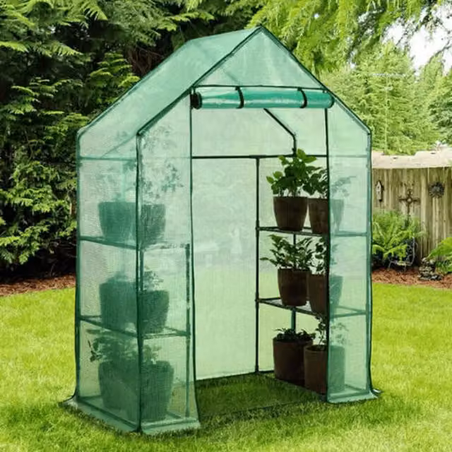 Faboer Freestanding Walk-in Gable Garden Greenhouse with Shelving, Green