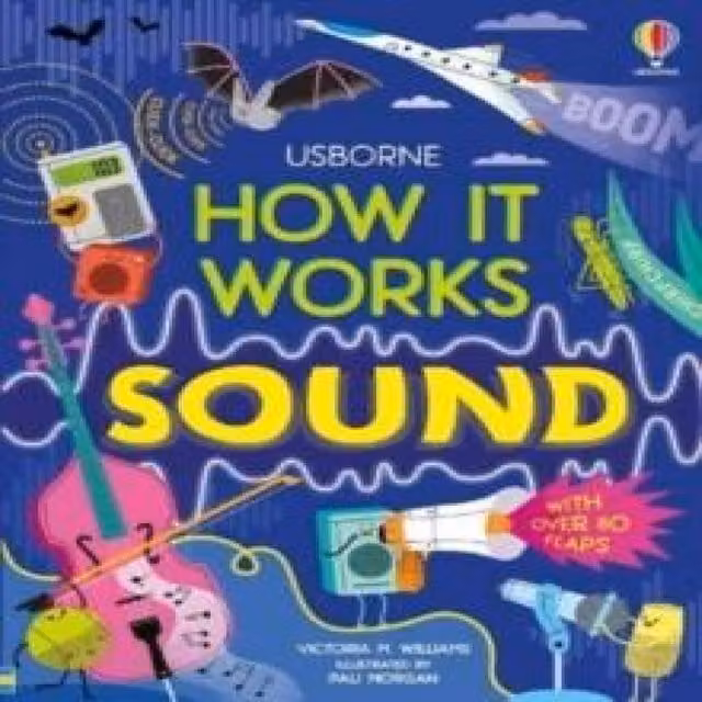 Victoria Williams How It Works: Sound Board Book in Multicolour