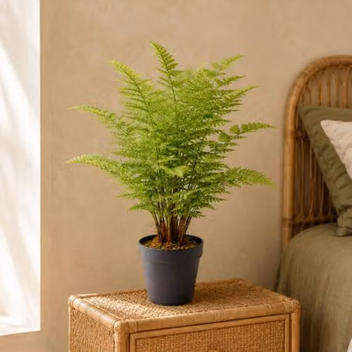 LeafUK Realistic Artificial Moss Fern Potted Plant in Green, W/D/H: 40 x 40 x 40 cm