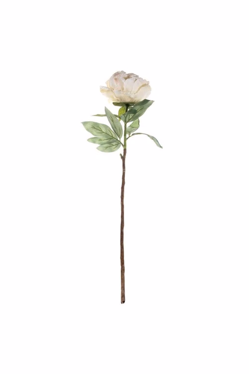 KDMD Single White Peony Artificial Textile Flowers, Height: 71 cm – 2
