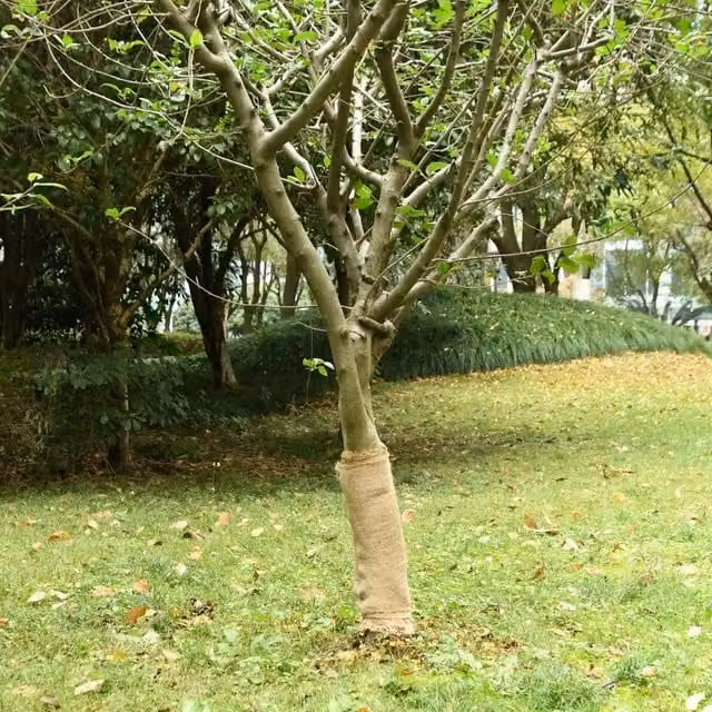 Berkfield Home Jute Roll, Beige and Multicolour, W: 0.5 m, L: 50 m – 1