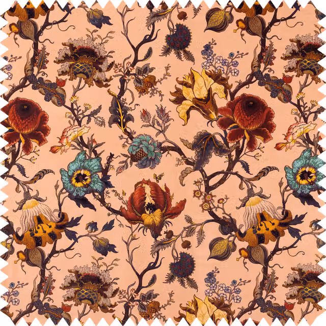 House of Hackney Artemis Organic Velvet in Blush Pink