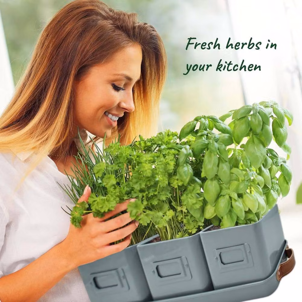 Green Thumbz Set of 3 Indoor Herb Planters with Grey Leather Handled Tray – 3