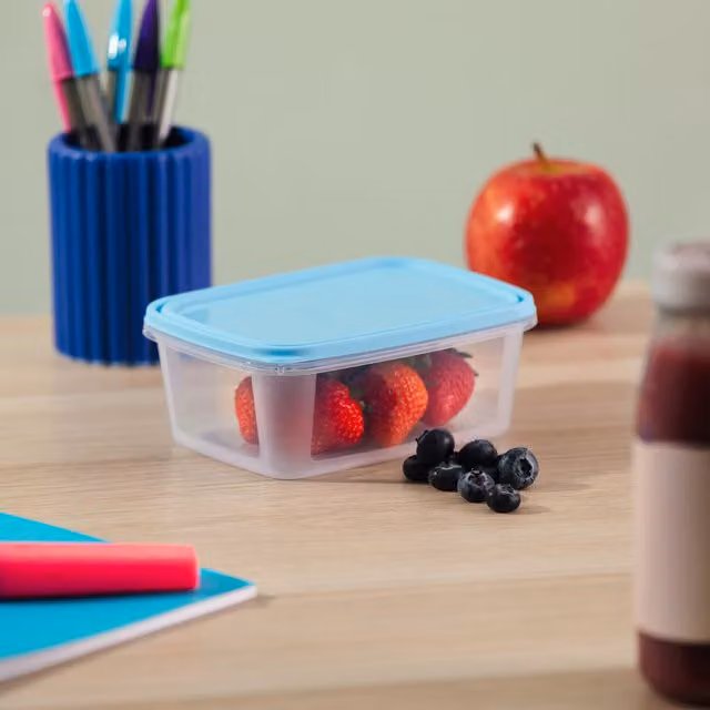 Wham Pack of 5 Blue Leakproof BPA-Free Plastic Food Boxes with Snap Lids