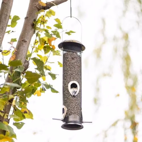 Happy Beaks Supreme Bird Feeder Collection, Antique Brass Zinc Alloy Metal Hanging Garden Feeders for Seed, Peanut and Mealworms, Set of 3 – 2